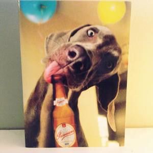 Meet your Posher, Josh